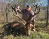Red Stag Hunting in Ohio
