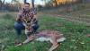 Axis Deer: What They Are and Where to Hunt Them