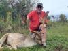 Fallow Deer: Where they Roam and Where you can Hunt Them